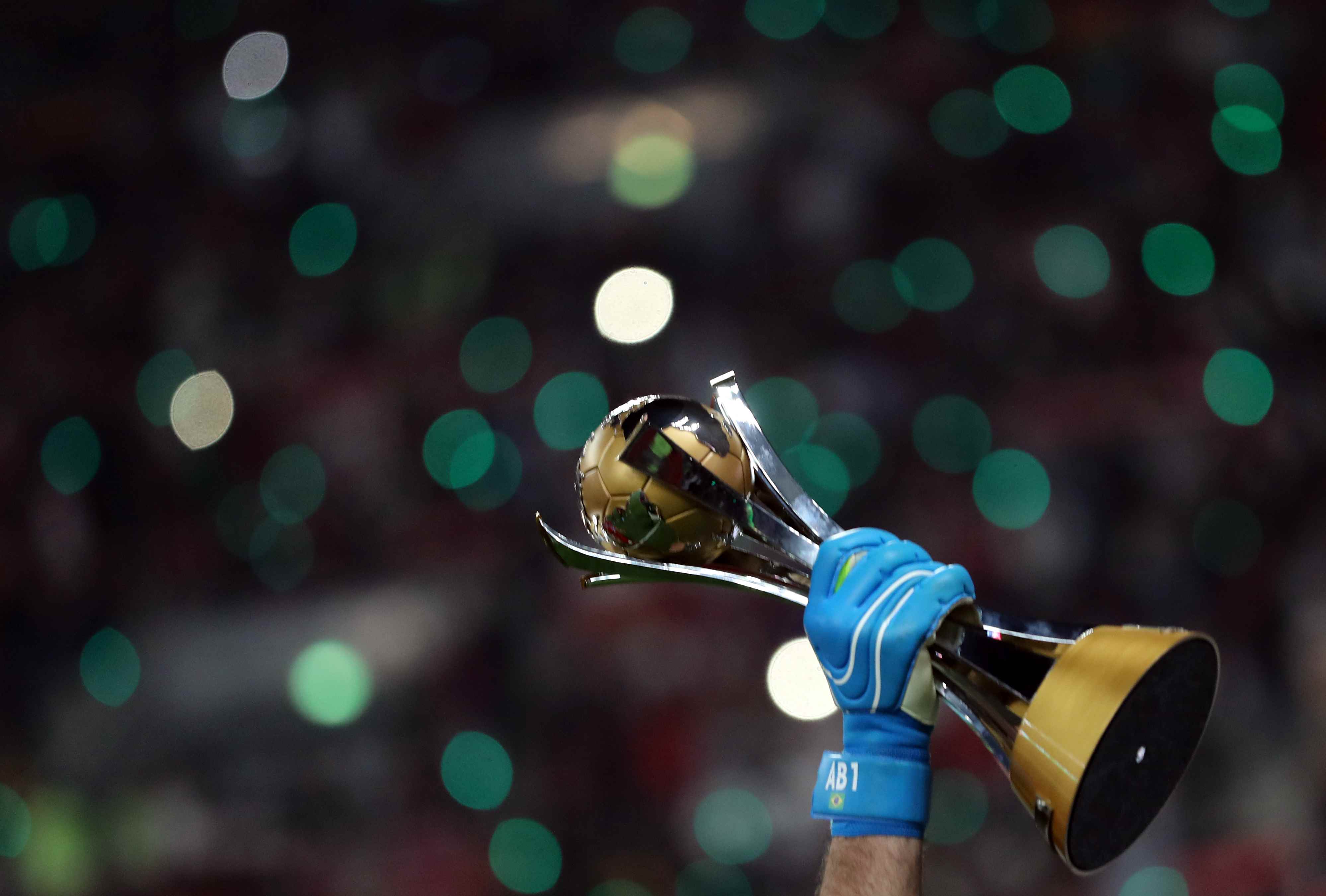 加拿大10吨啤酒项目