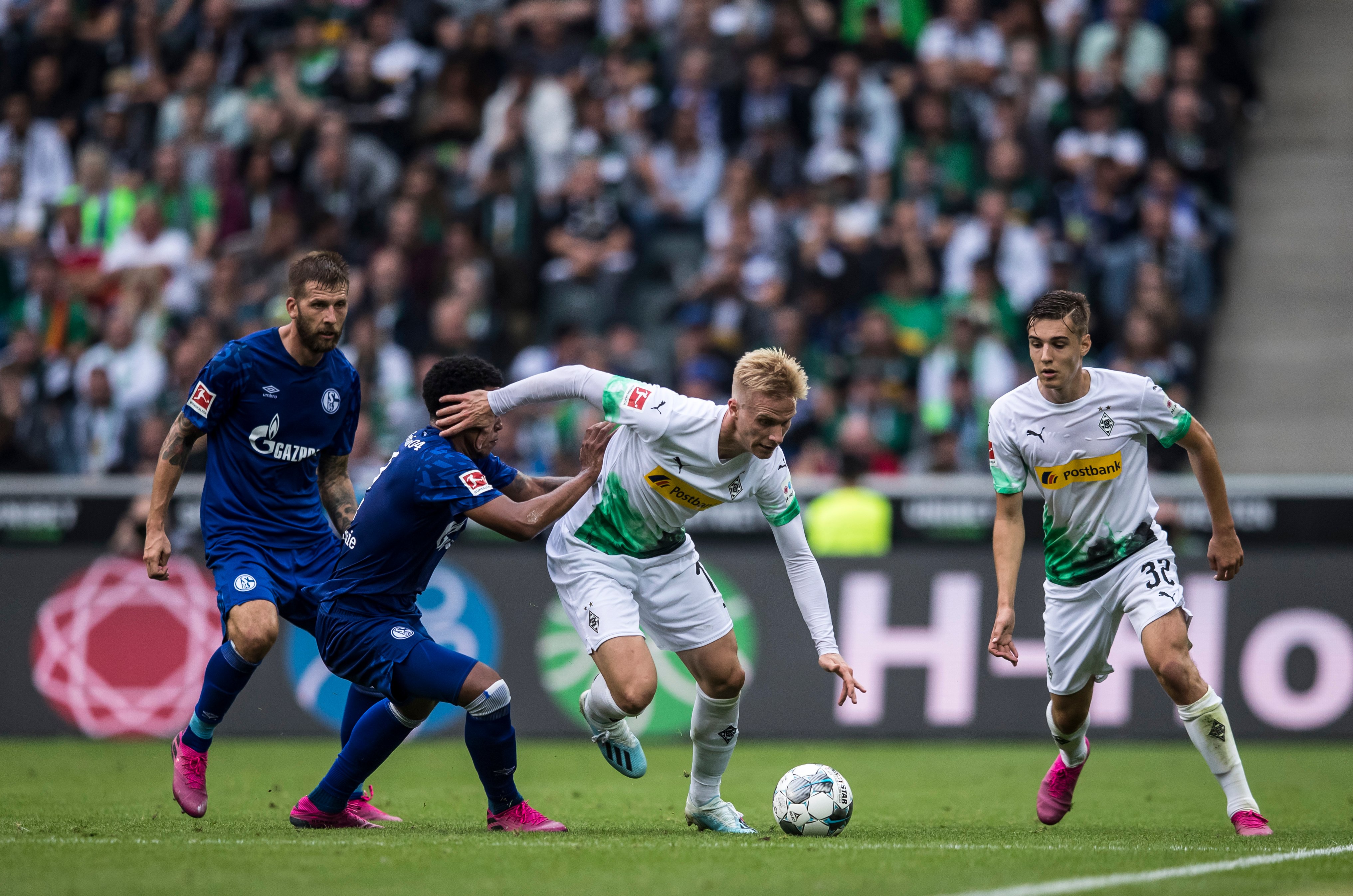 2024数字碳中和高质量发展高峰论坛 暨山东电子商会碳中和分会成立大会